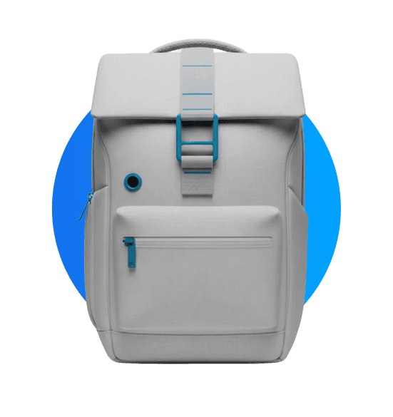 Sacha du bourg palette l'histoire !